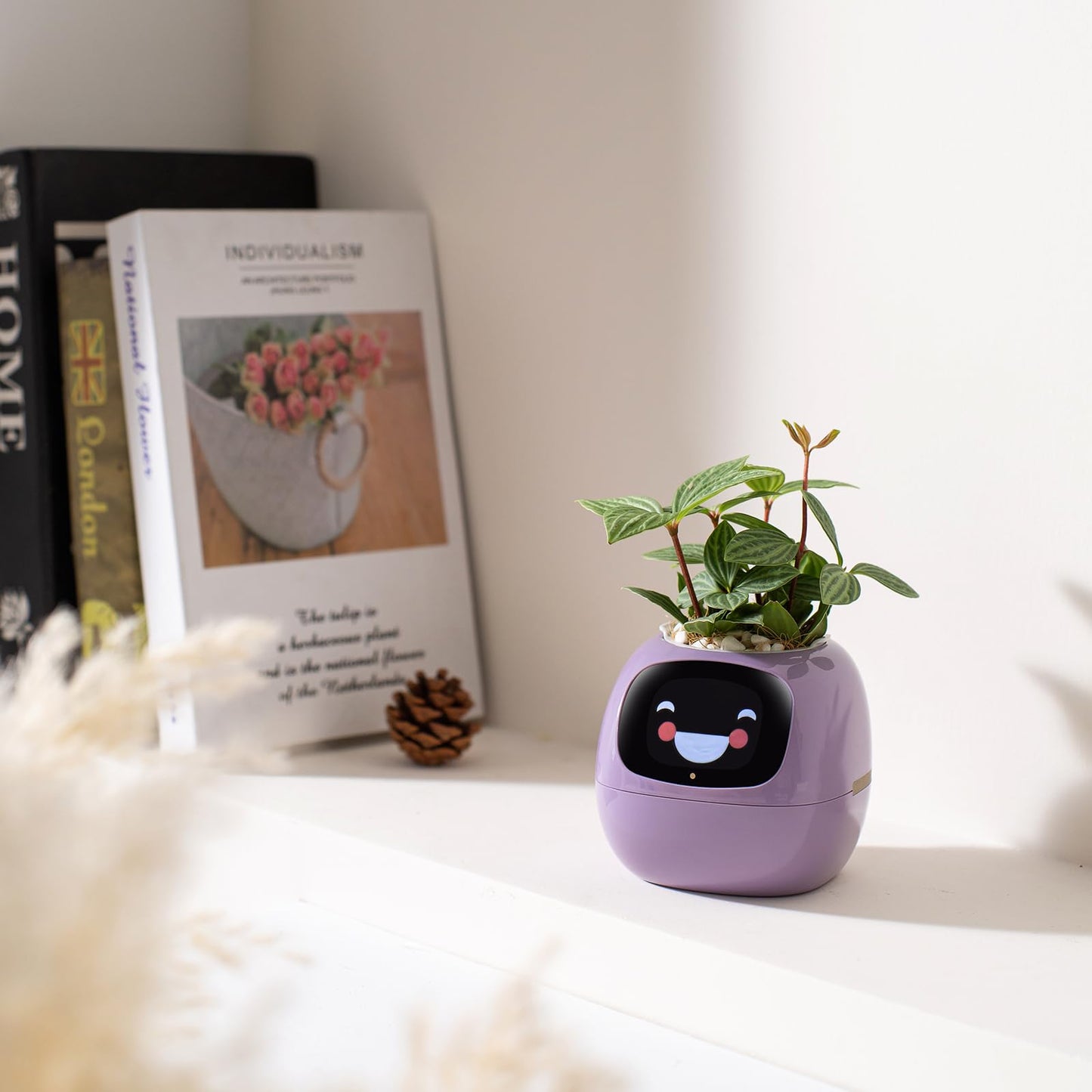 PLANTSIO “Ivy” Smart Pet Planter