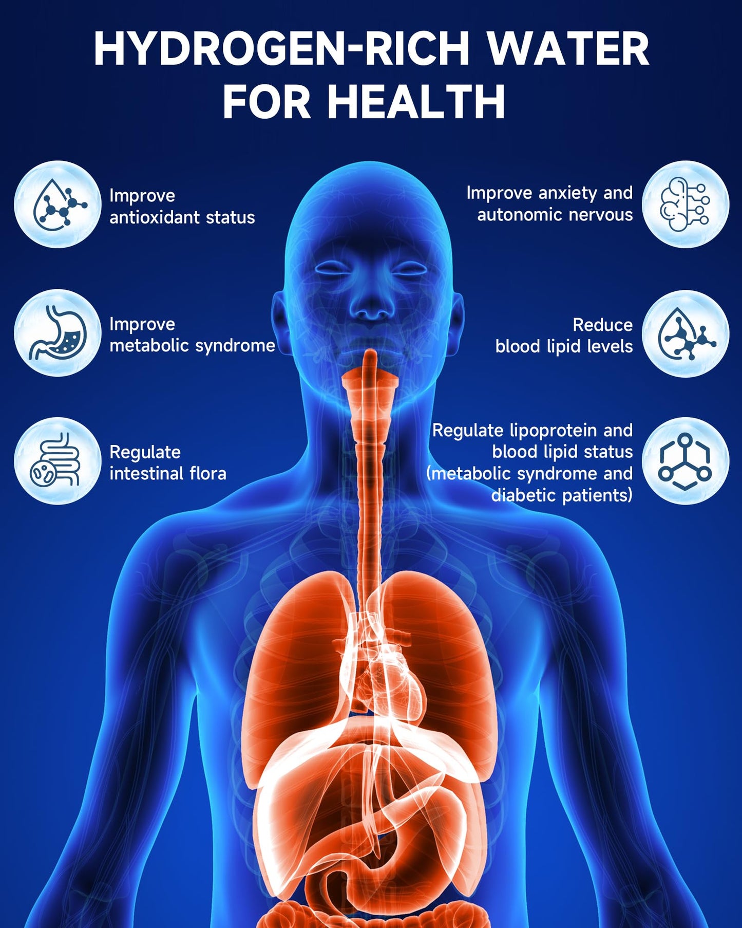 Asgool Portable Hydrogen Water Bottle