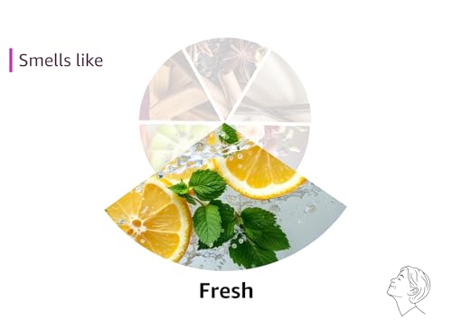 WarmEmbrace Lavender Scented Candle