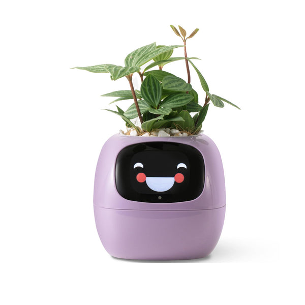 PLANTSIO “Ivy” Smart Pet Planter