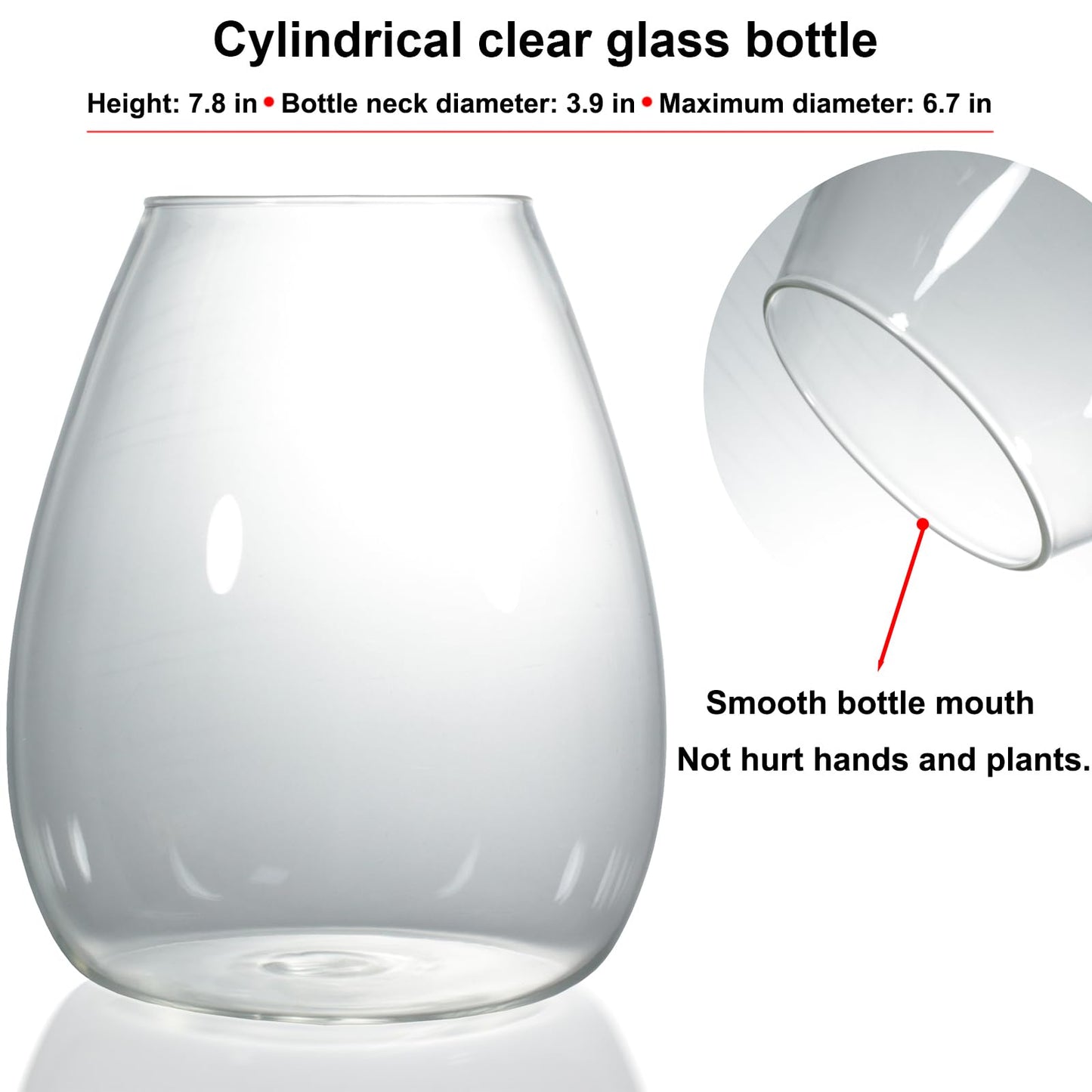 Desktop Glass Terrarium with Grow Light by AREPK