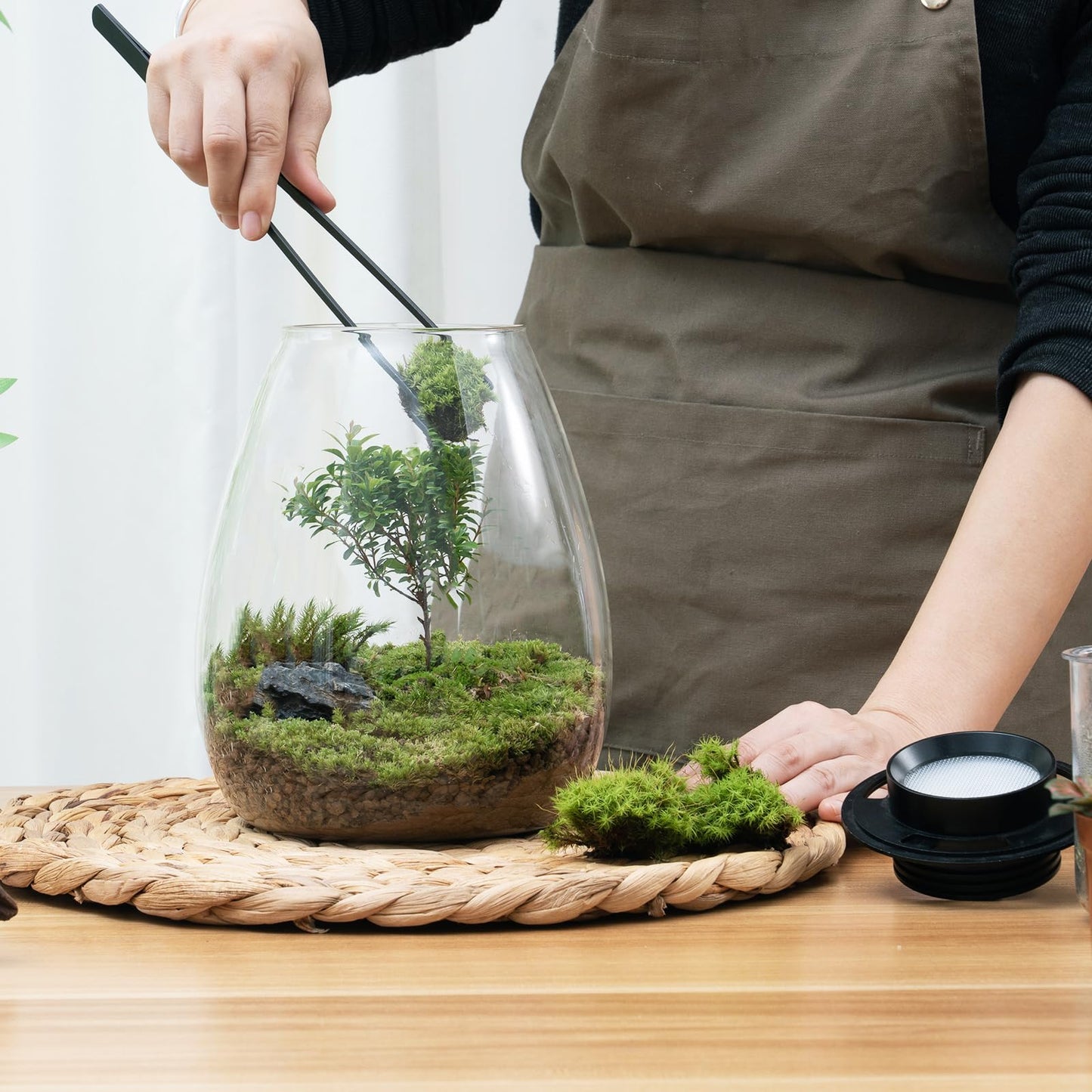 Desktop Glass Terrarium with Grow Light by AREPK