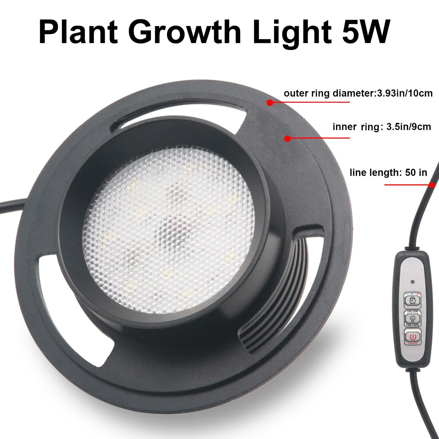 Desktop Glass Terrarium with Grow Light by AREPK