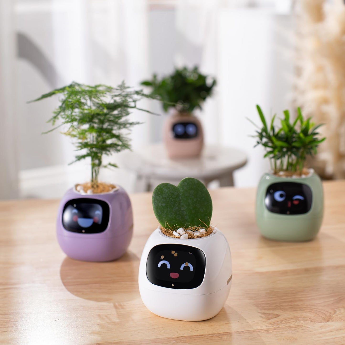 PLANTSIO “Ivy” Smart Pet Planter