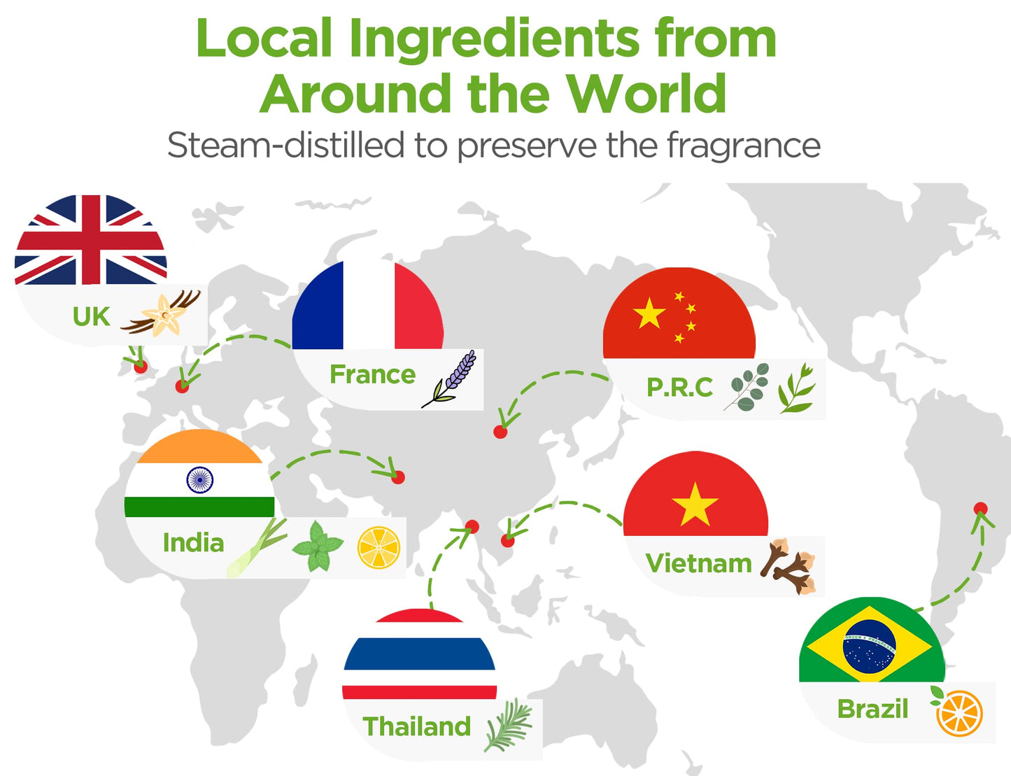 Aromatherapy Diffuser and Essential Oils Set by InnoGear