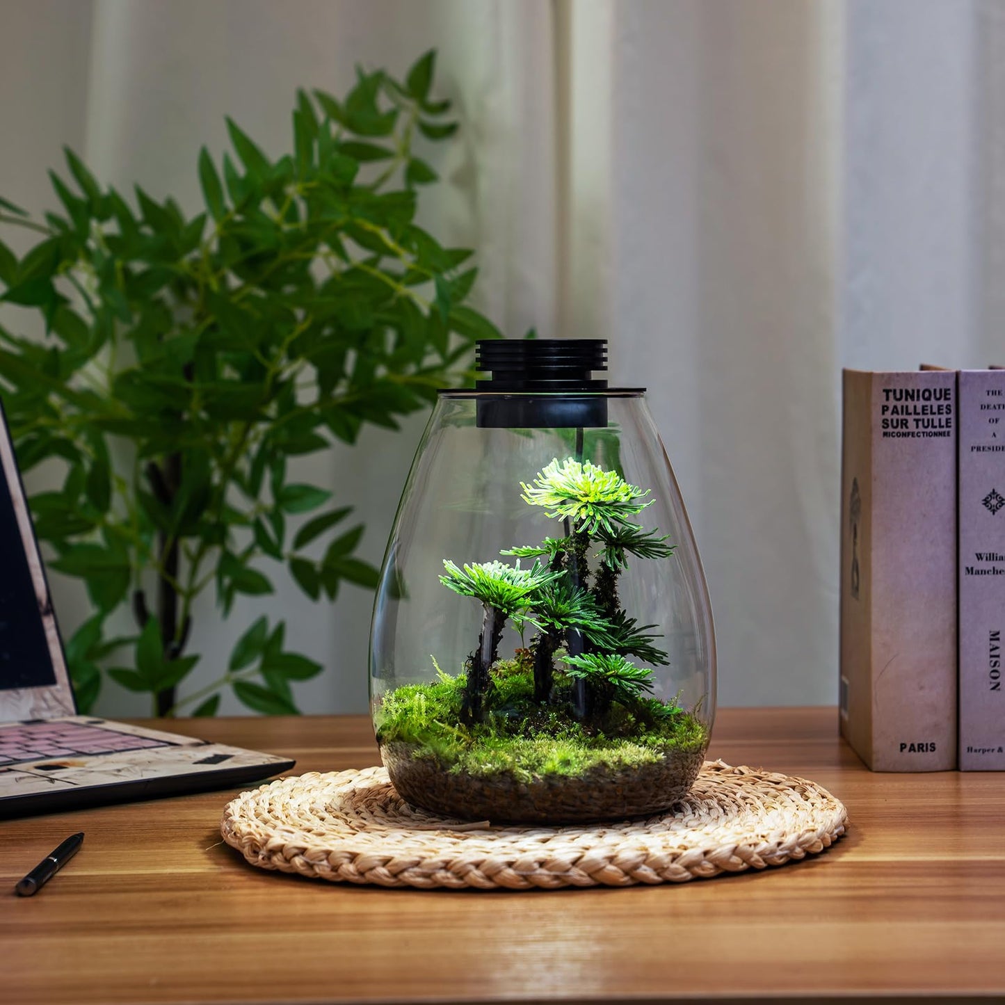 Desktop Glass Terrarium with Grow Light by AREPK