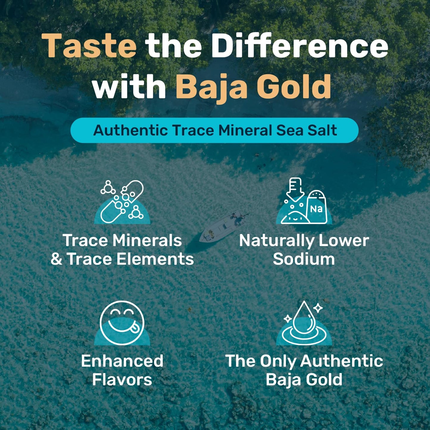 Baja Gold Mineral Sea Salt • Fine Grind